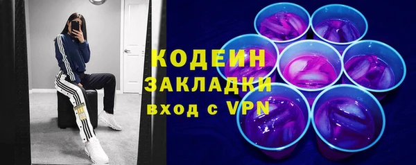 дурь Бородино