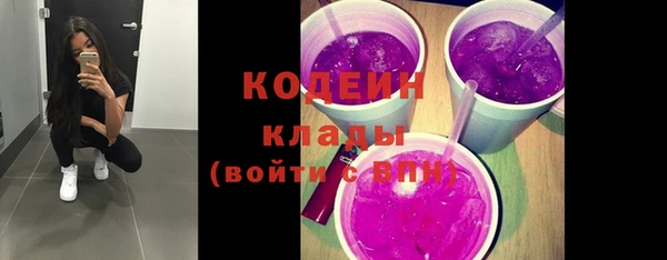 твердый Богородицк