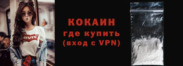 твердый Богородицк