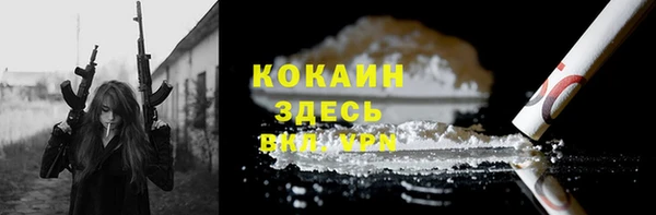 сатива Ростов