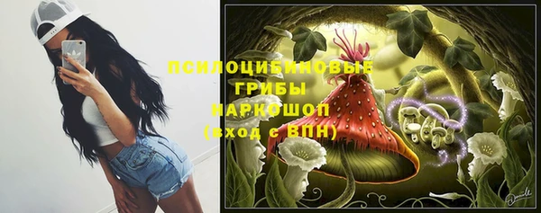 твердый Богородицк