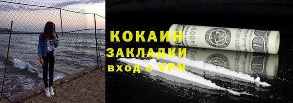 твердый Богородицк