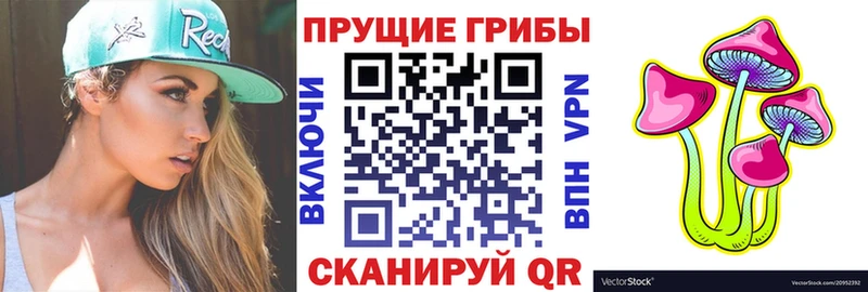 Галлюциногенные грибы Psilocybe  Краснообск 